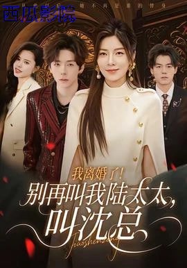 我离婚了！别再叫我陆太太，叫沈总
