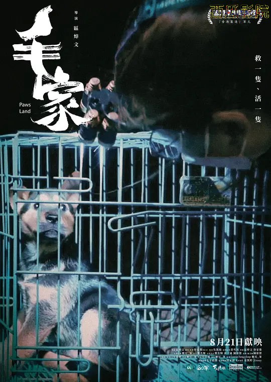 毛家 2024